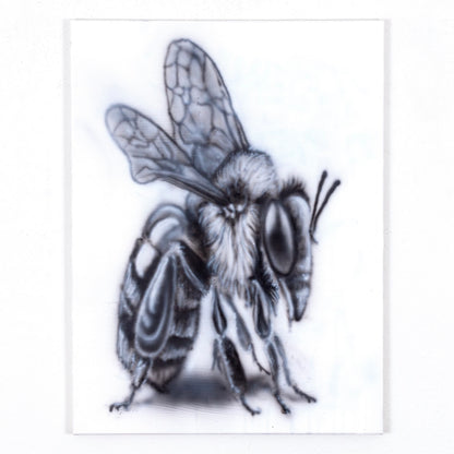 BEE T-Shirt By Brock Saunders